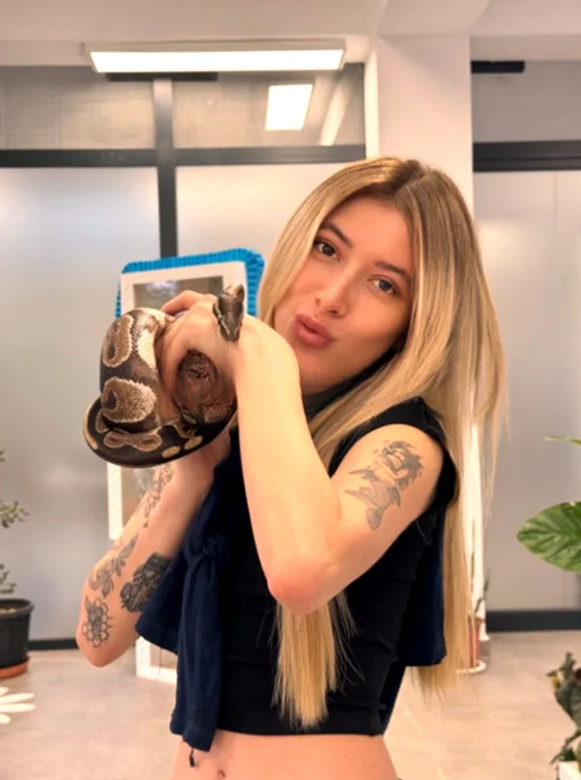 Lisamola